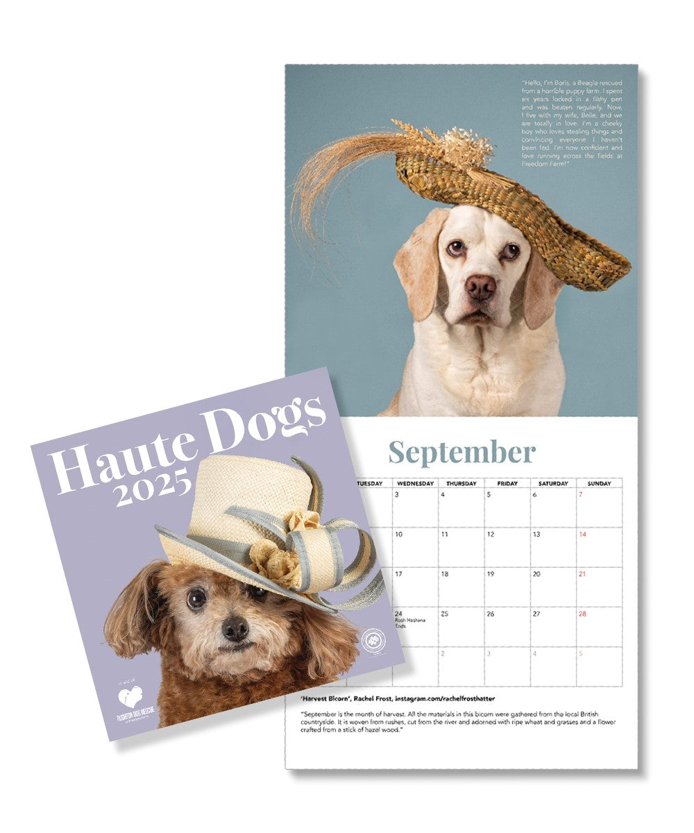 Haute Dogs Calendar 2025 - Lock & Co. Christmas Gift Edit - Lock & Co. Hatters London UK